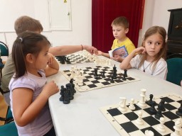 Мастер-класс по игре в шахматы