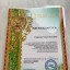 Таисия Шамес - Лауреат 1 степени конкурса "Весенняя волна" 2